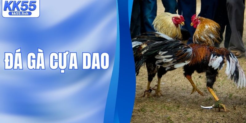 Đá Gà Cựa Dao - Trận Đấu Kịch Tính Và Đầy Bất Ngờ